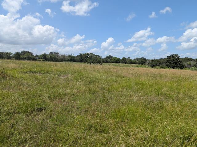 Land for sale in Grimes, Texas