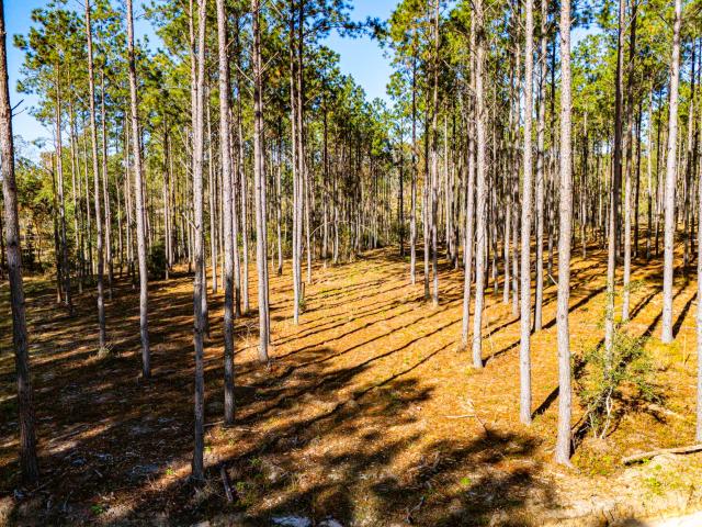 Land for sale in Moscow