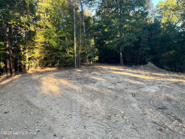 Land for sale in Caneyville, Grayson County