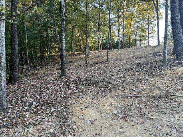 Land for sale in Caneyville, Grayson County