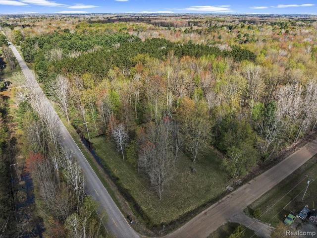 Land for sale in Tuscola, Michigan