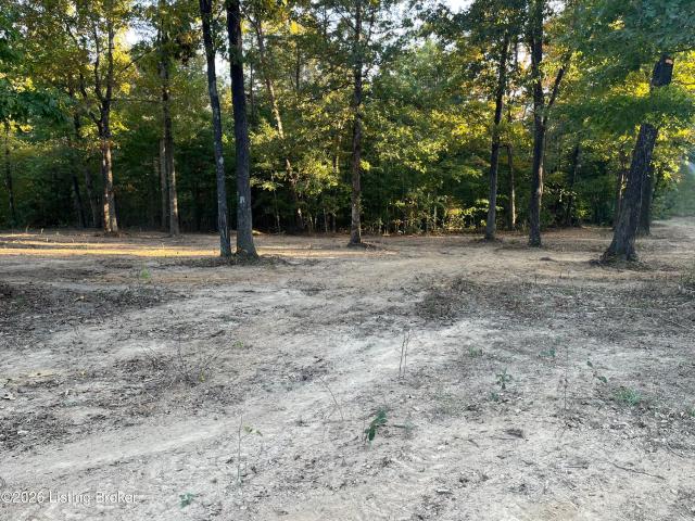 Land for sale in Caneyville, Grayson County
