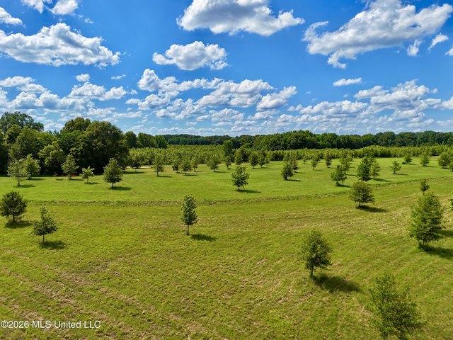 Land for sale in Madison, Mississippi