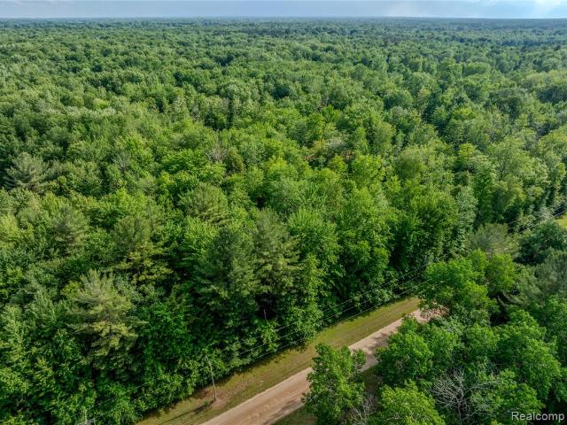 Land for sale in Tuscola, Michigan
