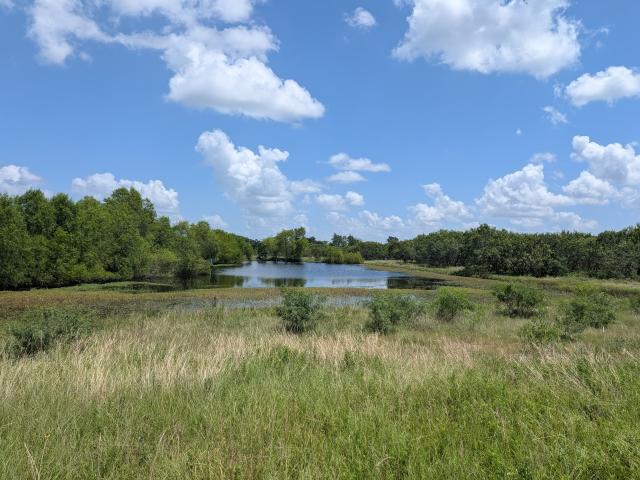 Land for sale in Grimes, Texas