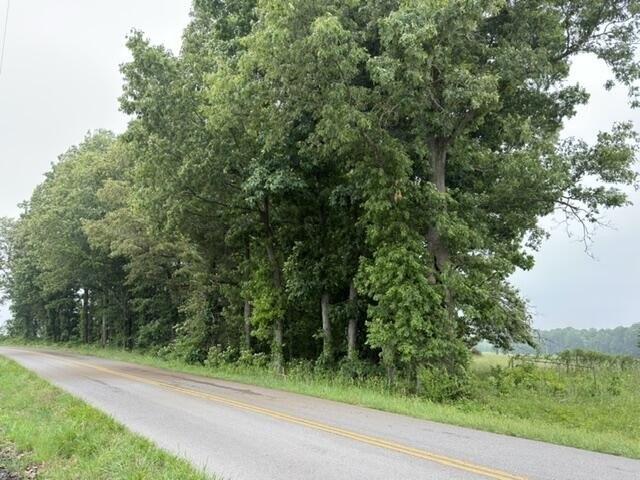 Land for sale in Murray, Kentucky