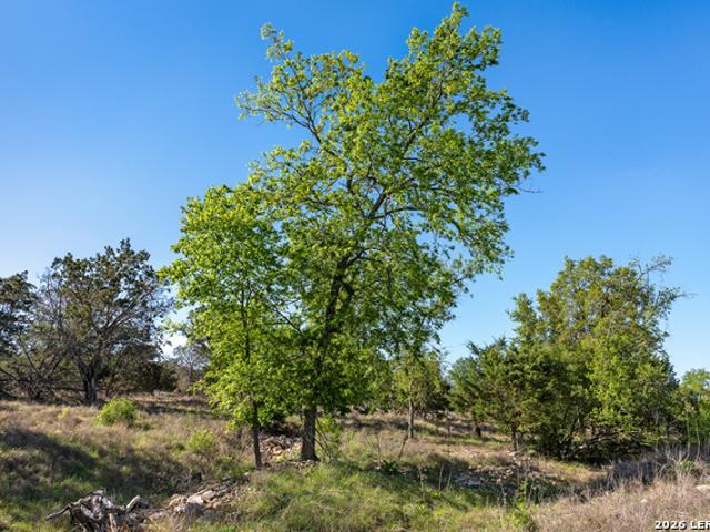 Farm for sale in Kendall, Texas
