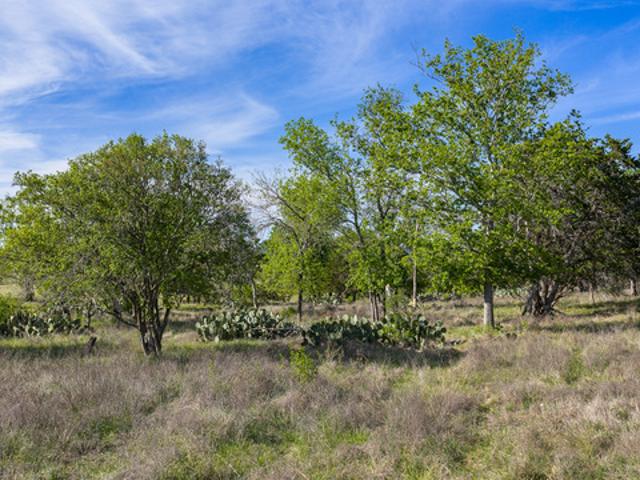 Farm for sale in Kendall, Texas