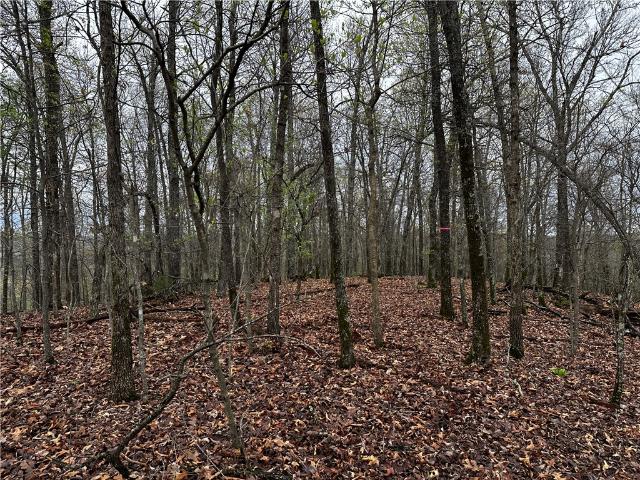Land for sale in Ark