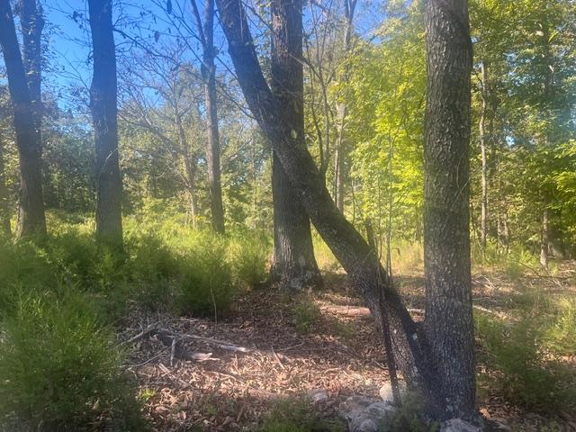 Land for sale in Norfork Village, Flippin