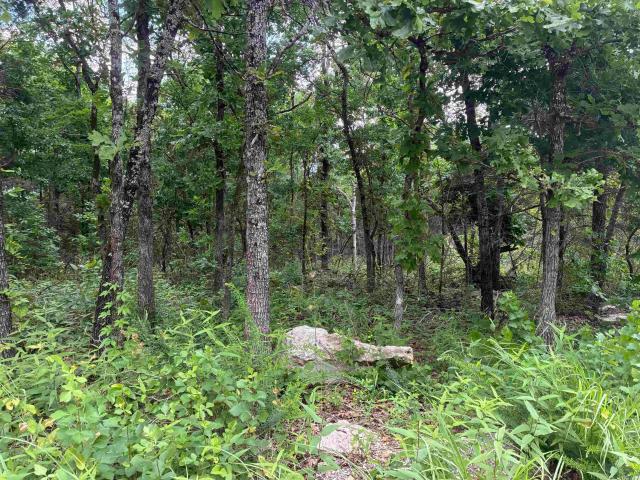 Land for sale in Ark