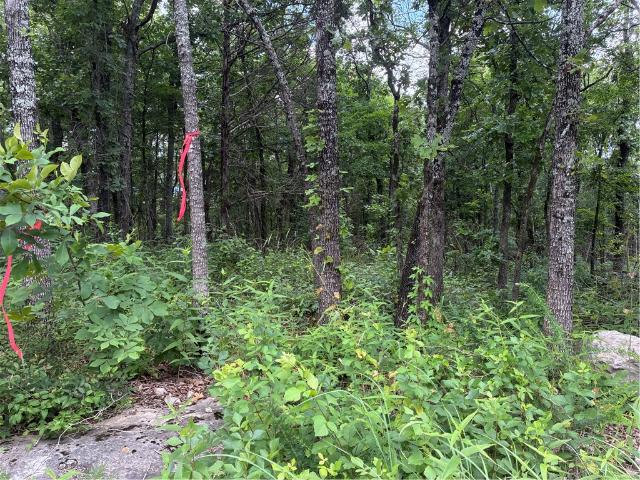 Land for sale in Ark