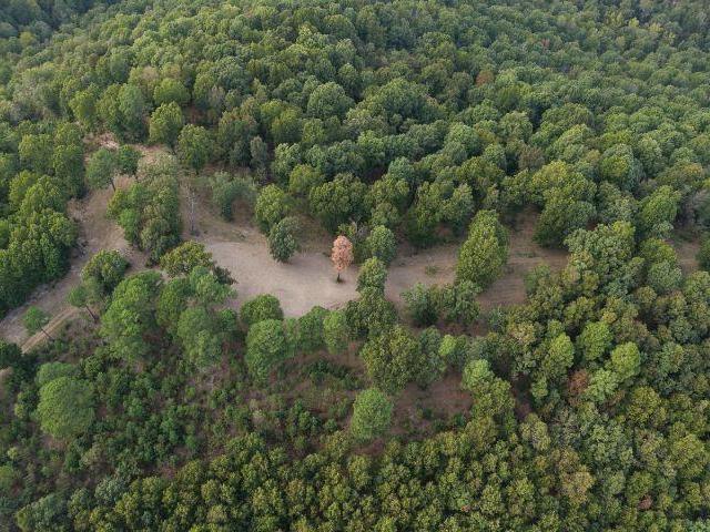 Land for sale in Flippin, Marion County
