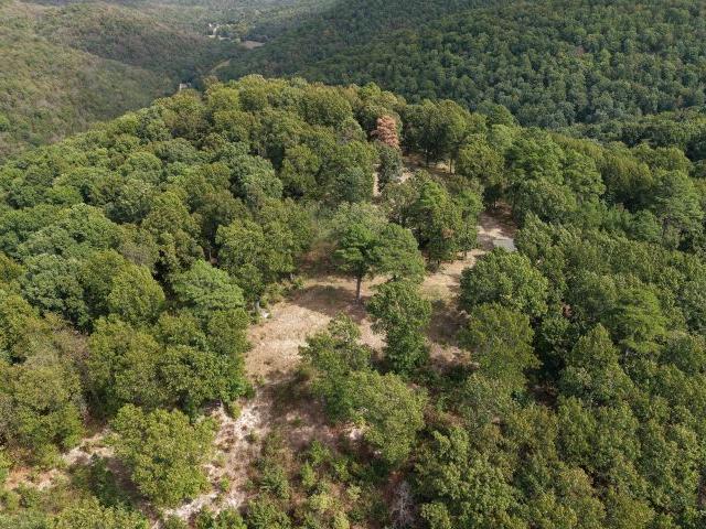 Land for sale in Flippin, Marion County