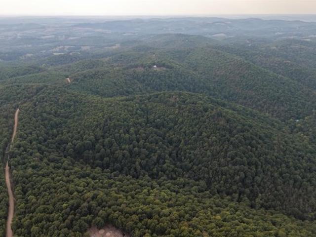 Land for sale in Flippin, Marion County