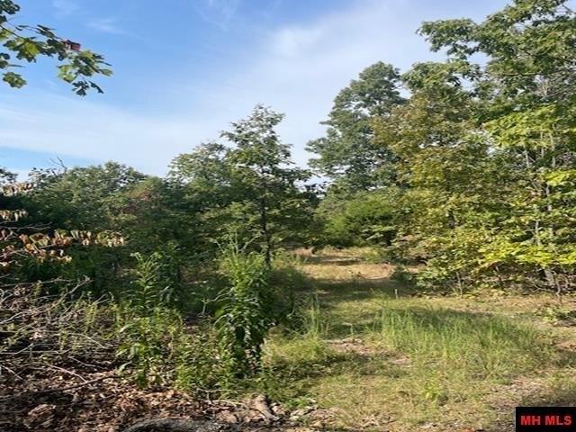 Land for sale in Ark