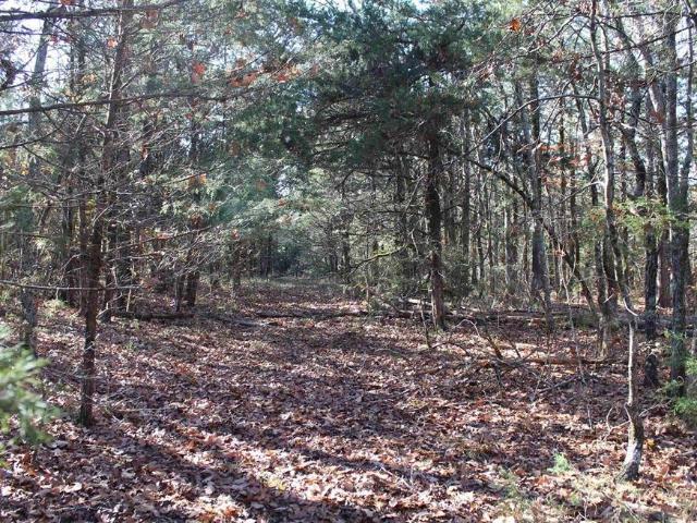 Land for sale in Ark
