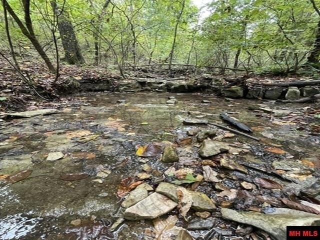 Land for sale in Yellville, Marion County