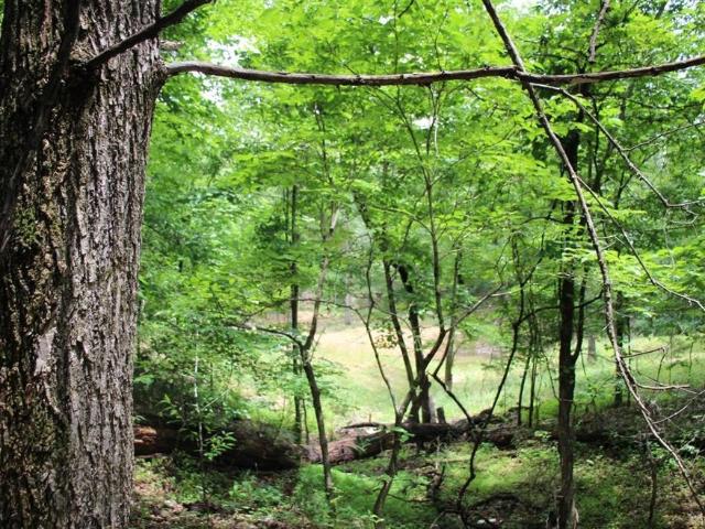 Land for sale in Ark