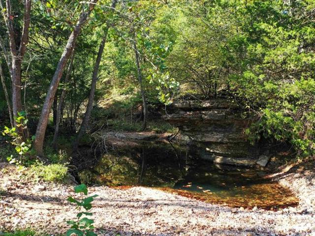 Farm for sale in Ark