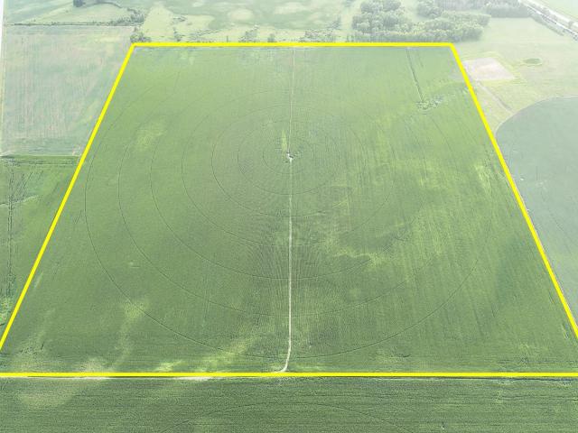 Land for sale in Benson, Swift County