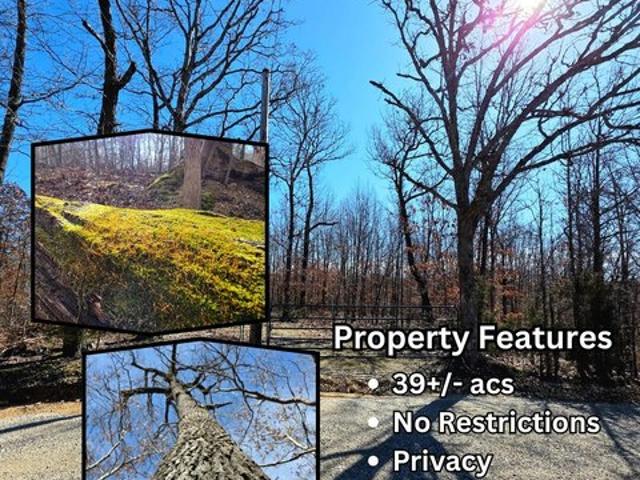 Land for sale in Fordland, Missouri
