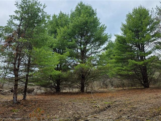 Land for sale in Breesport, New York