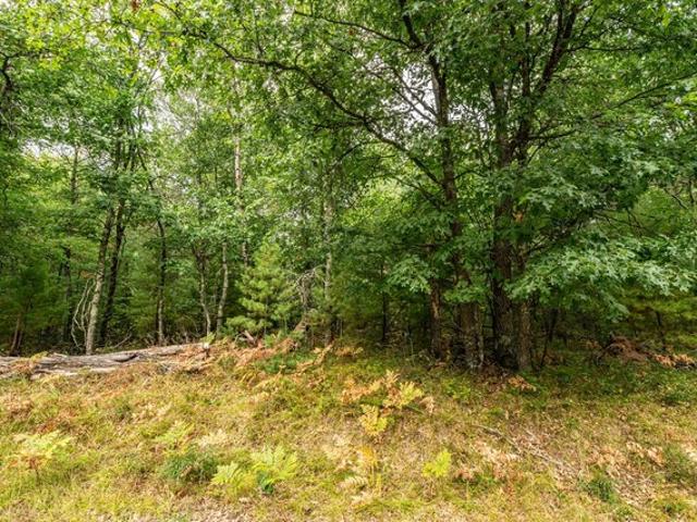 Land for sale in Town of Barnes, Bayfield County