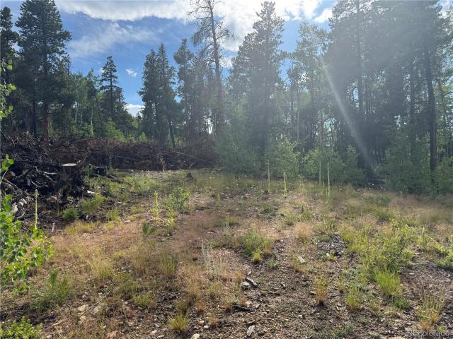 Land for sale in Central City, Colorado