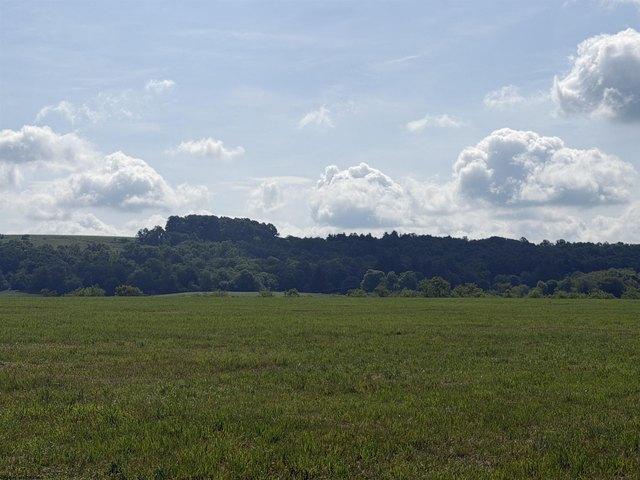 Land for sale in Bruceton Mills, West Virginia