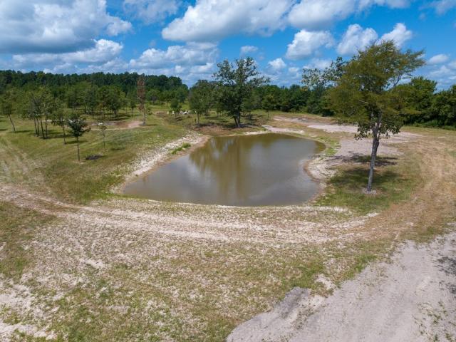 Land for sale in Lovelady, Texas