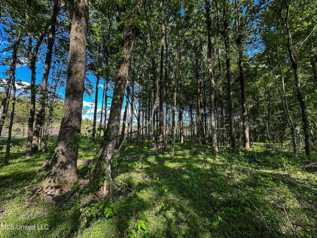 Land for sale in Thaxton, Mississippi