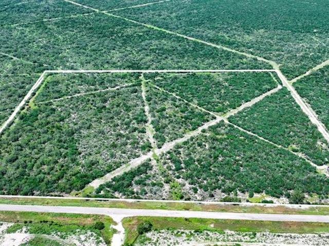Land for sale in Tilden, Texas