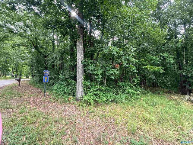 Land for sale in Cedar Bluff, Alabama
