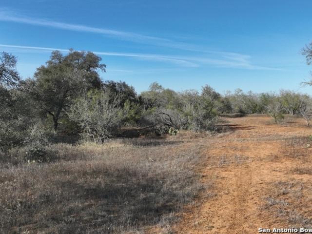 Land for sale in Jourdanton, Texas