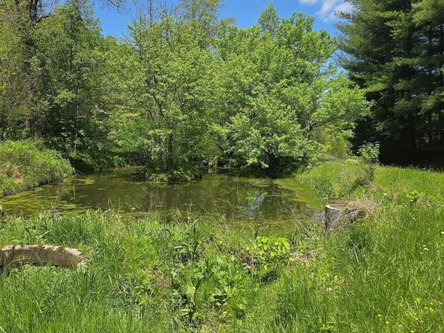 Land for sale in Virginia