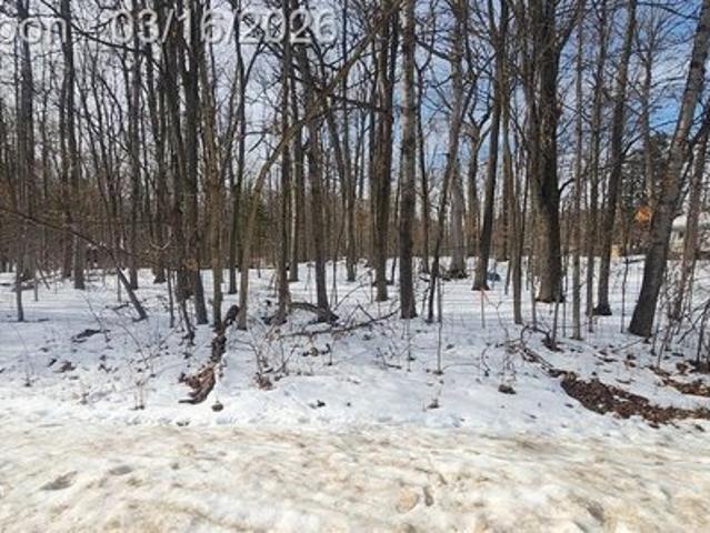 Land for sale in Deerfield, Michigan