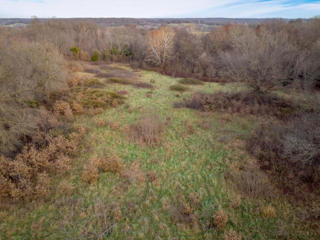 Land for sale in Fair Play, Missouri