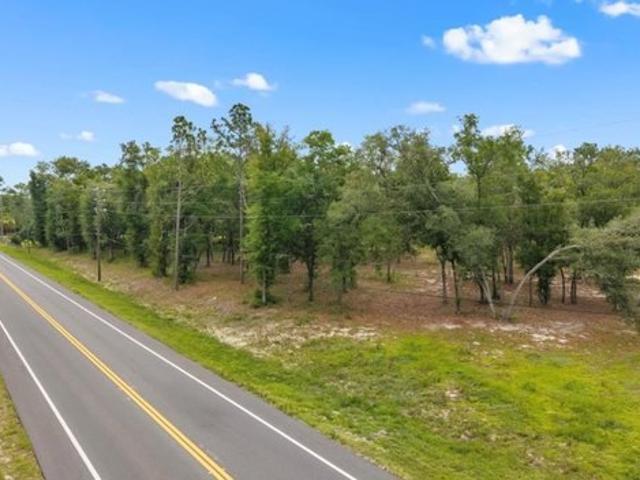 Land for sale in Bronson, Florida
