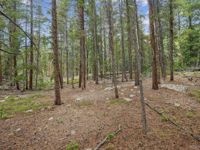 Land for sale in Clear Creek, Colorado