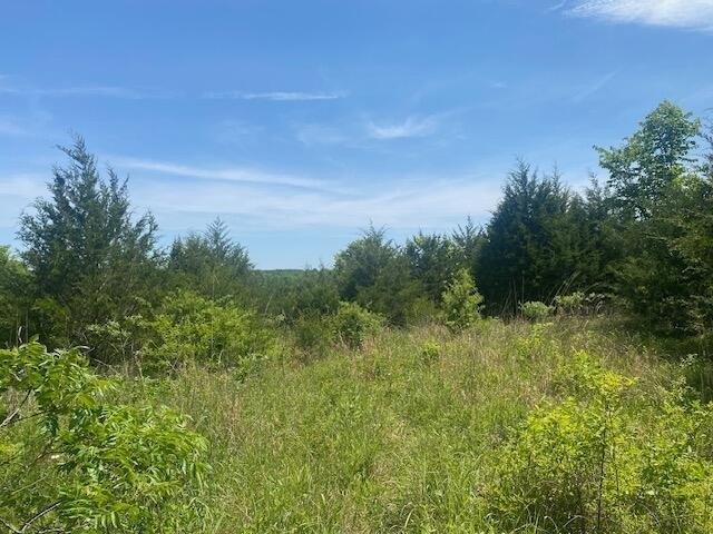 Land for sale in Seymour, Missouri