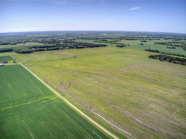 Land for sale in Clarksville, Texas