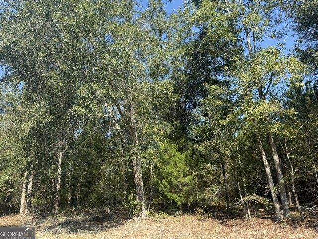 Land for sale in Arlington, Calhoun County