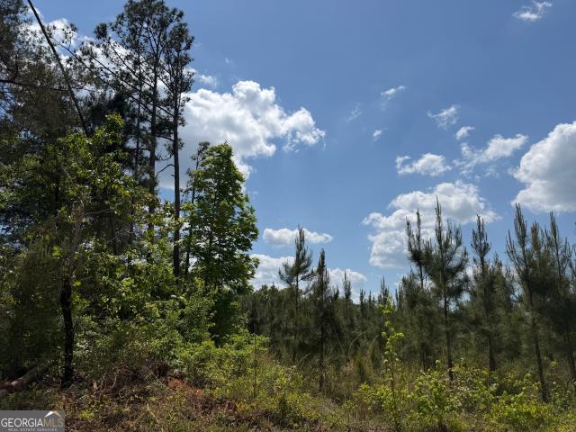 Land for sale in Cuthbert, Georgia