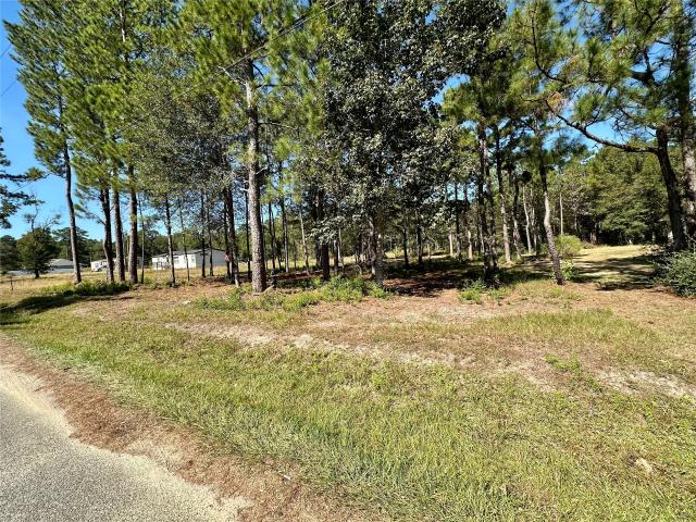 Land for sale in Lumberton, Hardin County