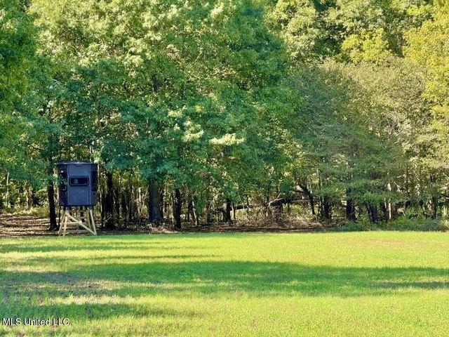 Land for sale in Rolling Fork, Mississippi