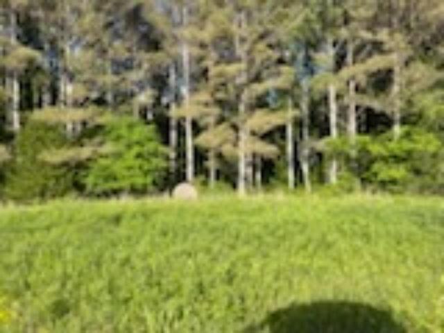 Land for sale in Hodges, Alabama