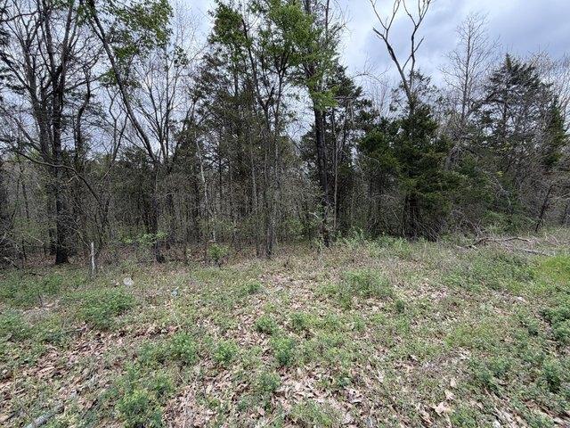 Land for sale in Stone, Missouri
