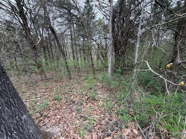 Land for sale in Stone, Missouri