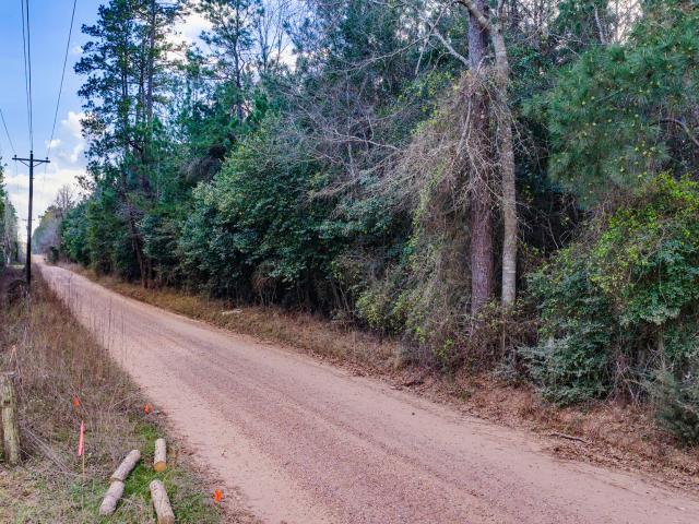 Land for sale in Polk, Texas